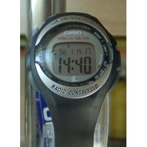 Годинник CASIO WS-2100H-1A