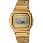 Годинник CASIO A1000MG-9EF