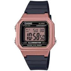Годинник CASIO W-217HM-5AVEF