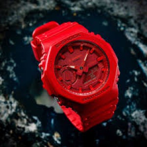 Годинник CASIO 0 GA-2100-4AER