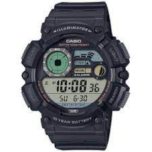 Годинник CASIO WS-1500H-1AVEF