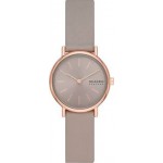 Годинник SKAGEN SKW3060