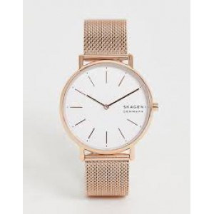 Годинник SKAGEN SKW2784