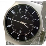 Годинник SKAGEN 233XLSSM
