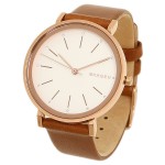Годинник SKAGEN SKW2488