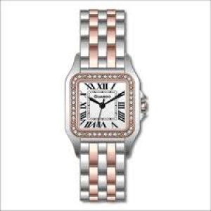 Годинник GUARDO 012687-11 (m.Rgs2W)
