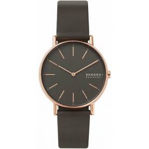 Годинник SKAGEN SKW2794