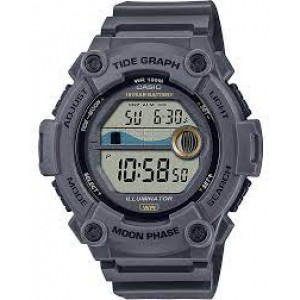 Годинник CASIO WS-1300H-8AVEF