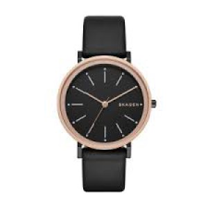 Годинник SKAGEN SKW2490