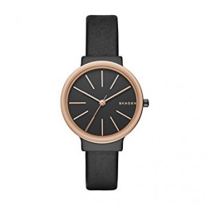 Годинник SKAGEN SKW2480